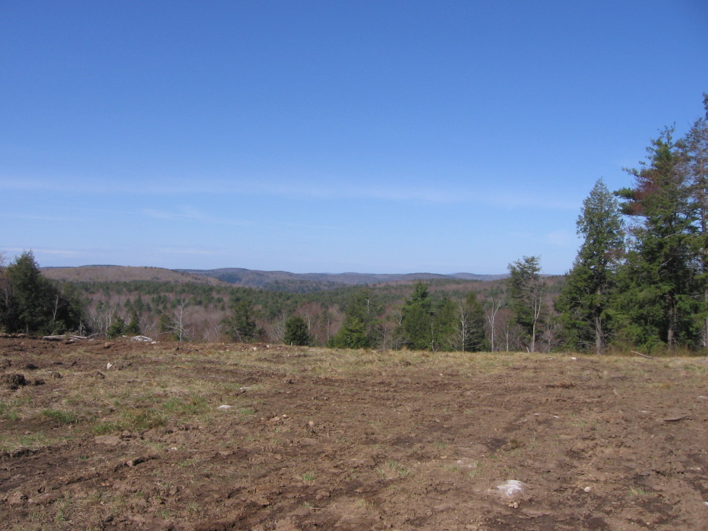 0 Clubhouse Road Tolland, MA 01034 - Photo 18 of 27 a view of a field with trees in background
