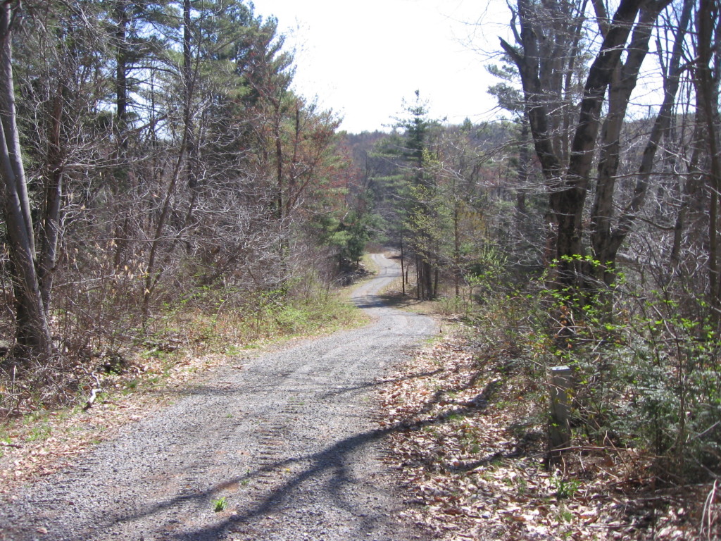 0 Clubhouse Road Tolland, MA 01034 - Photo 19 of 27 a view of a yard with a tree