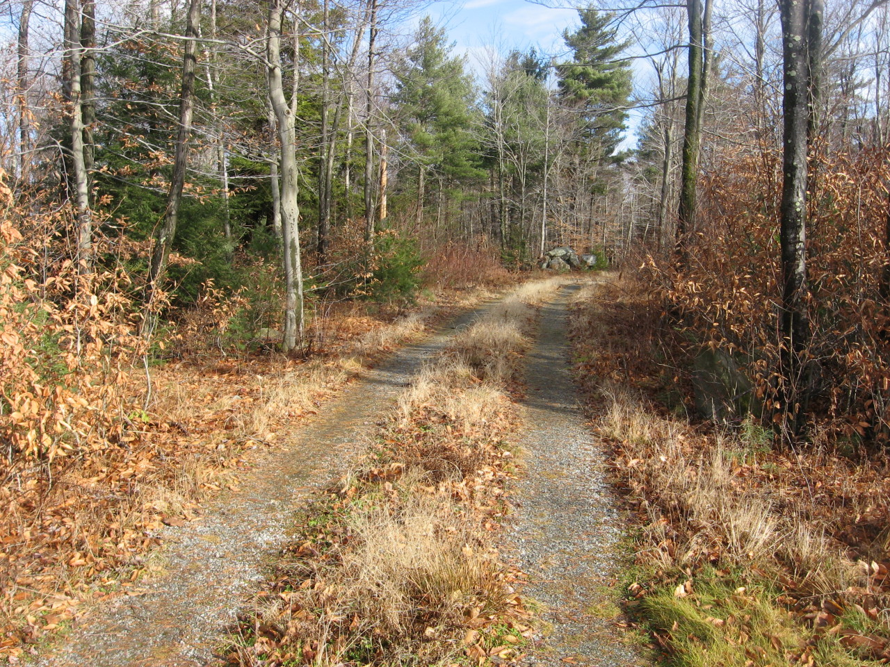 0 Clubhouse Road Tolland, MA 01034 - Photo 21 of 27 a view of a forest with trees