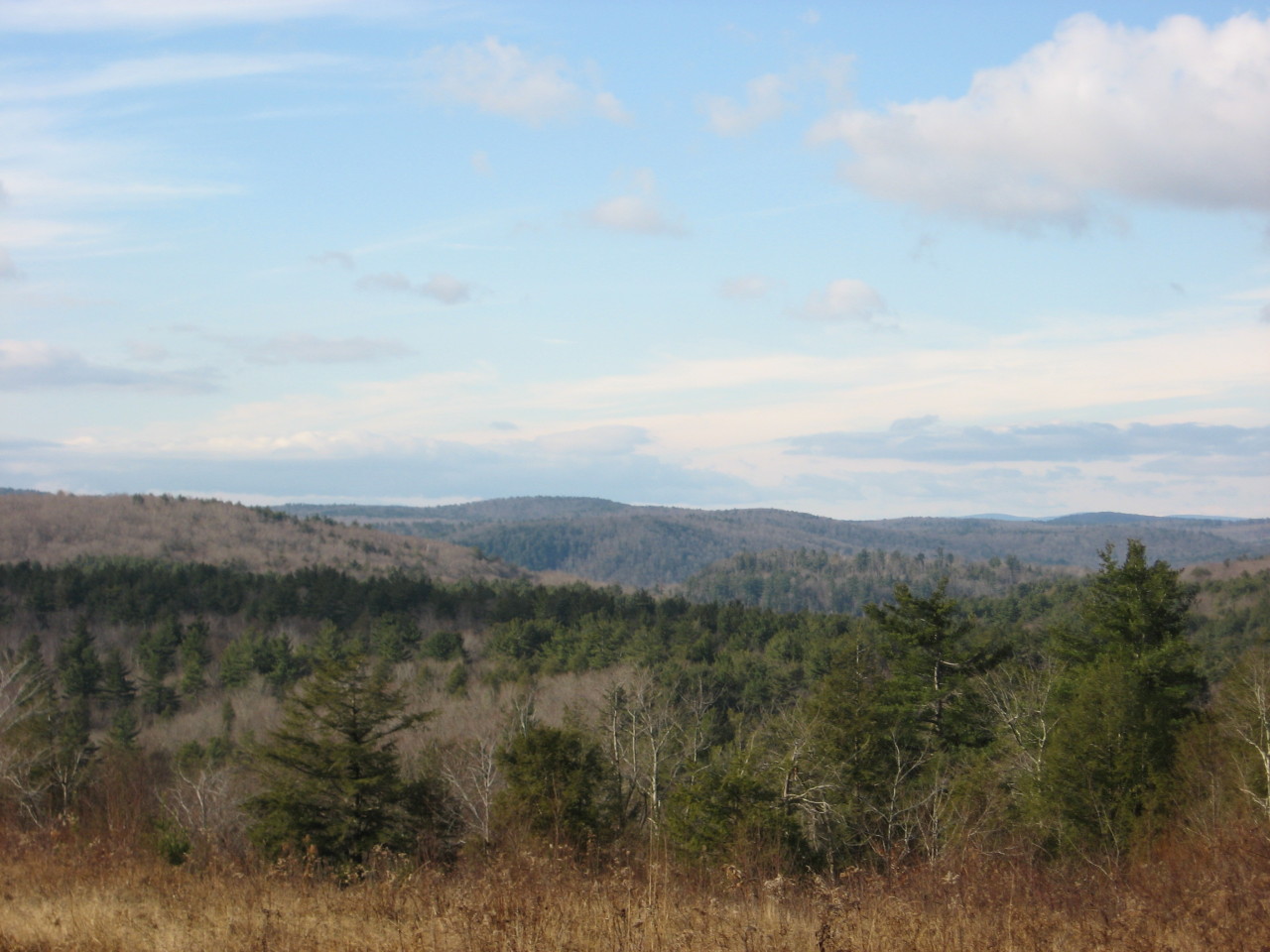0 Clubhouse Road Tolland, MA 01034 - Photo 22 of 27 an aerial view of forest