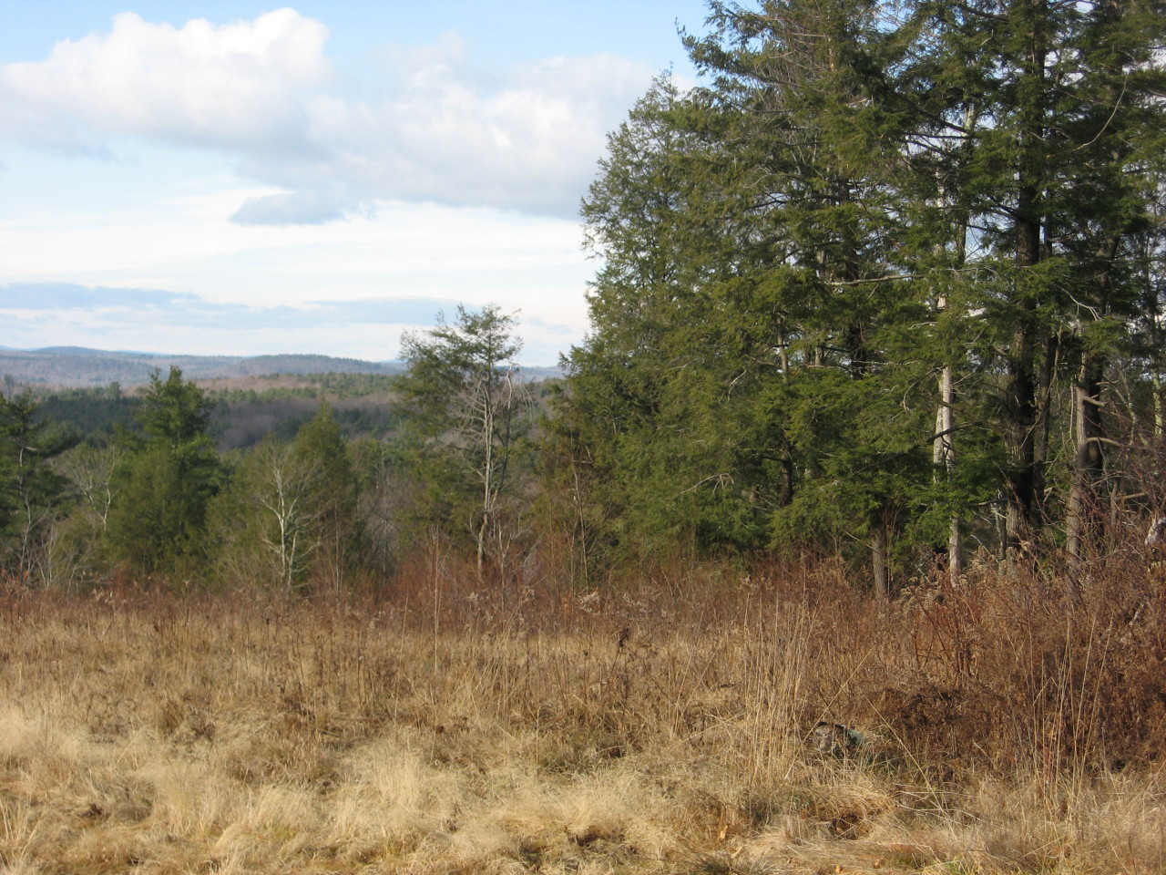 0 Clubhouse Road Tolland, MA 01034 - Photo 23 of 27 a view of a forest with lots of trees