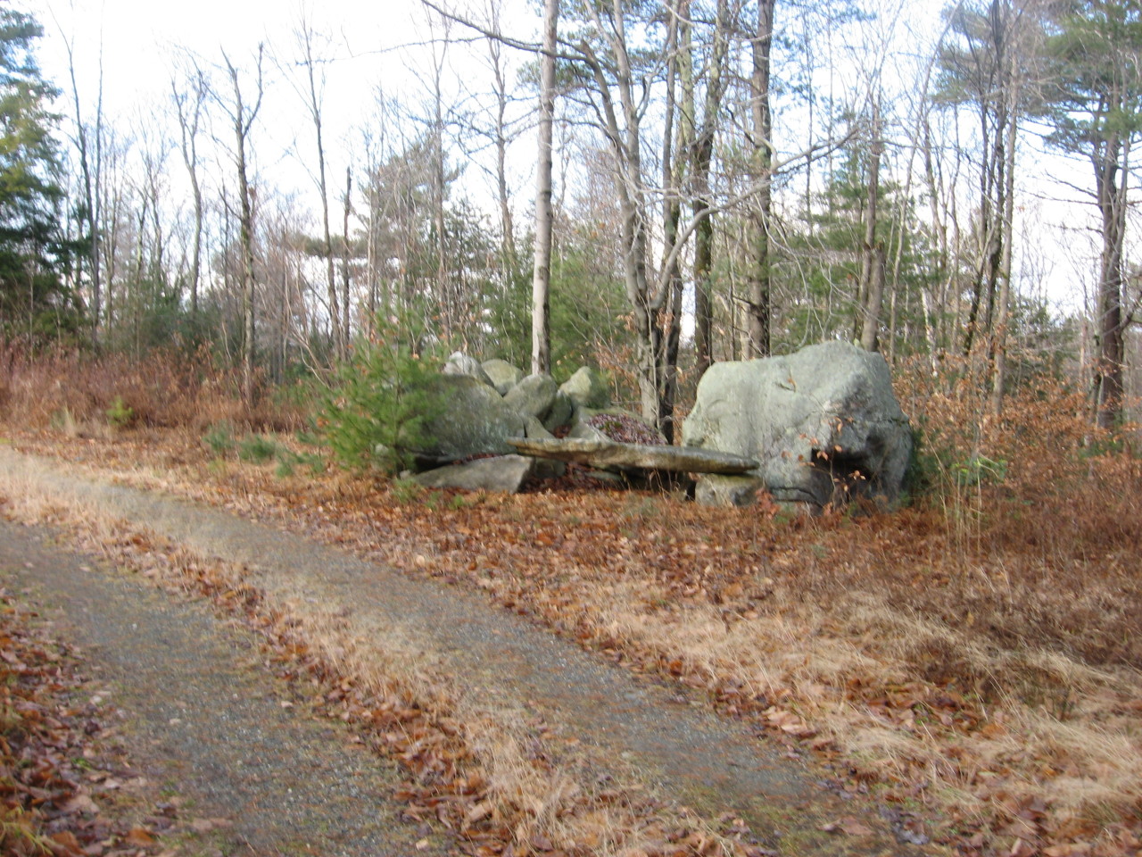 0 Clubhouse Road Tolland, MA 01034 - Photo 26 of 27 a view of a forest with large trees