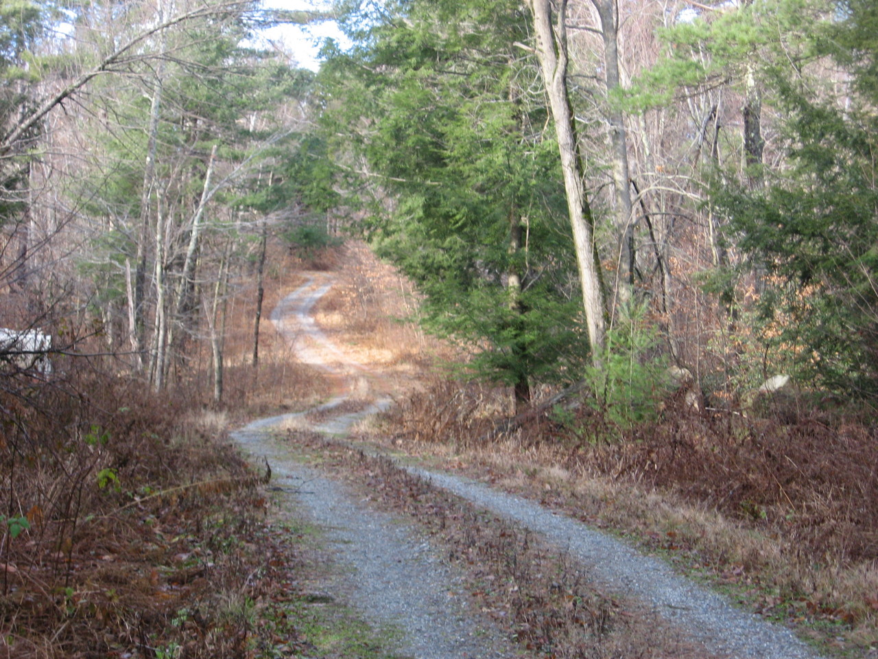0 Clubhouse Road Tolland, MA 01034 - Photo 27 of 27 a view of a yard with plants and trees