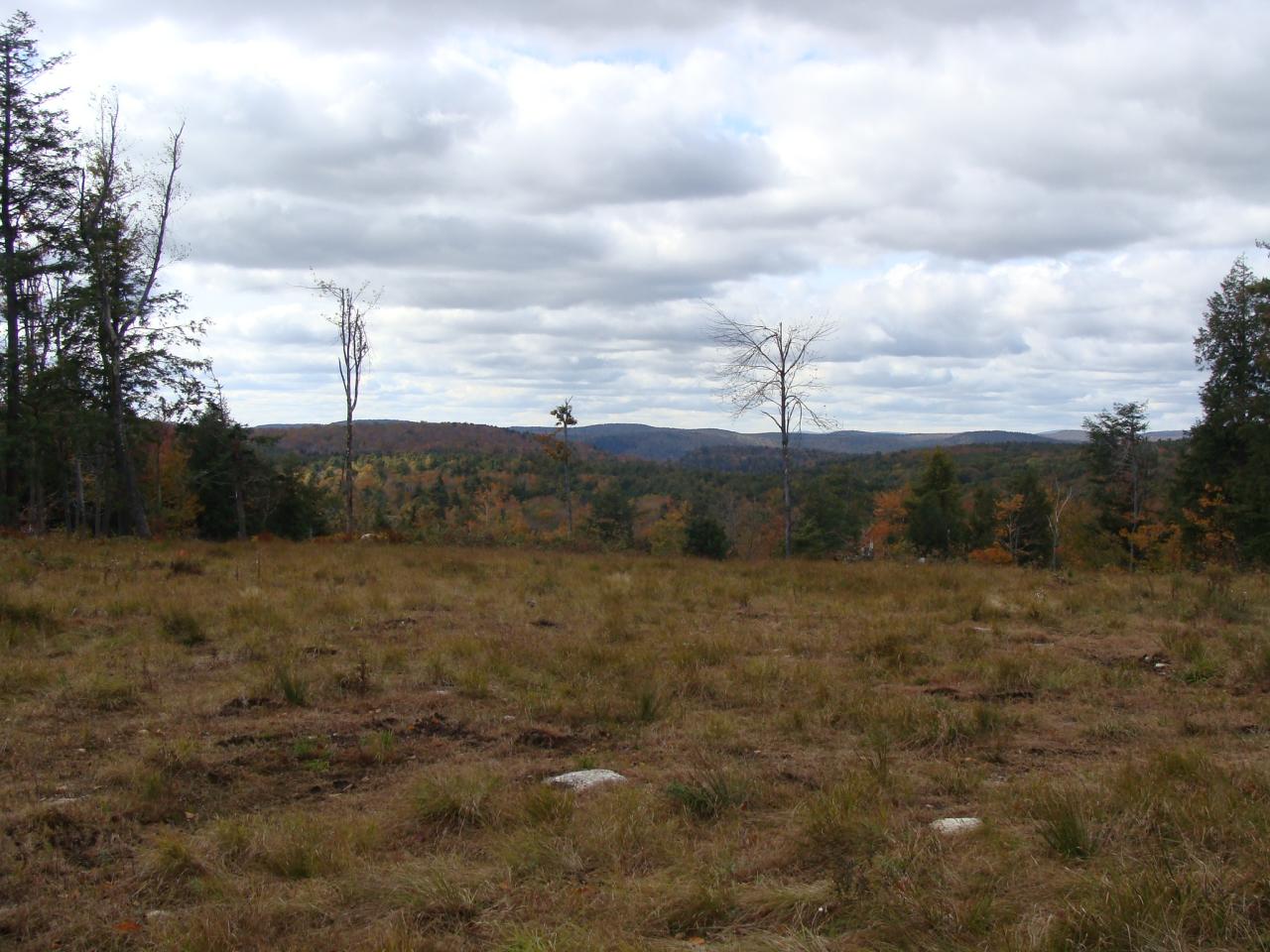 0 Clubhouse Road Tolland, MA 01034 - Photo 6 of 27 a view of a dry yard with wooden fence