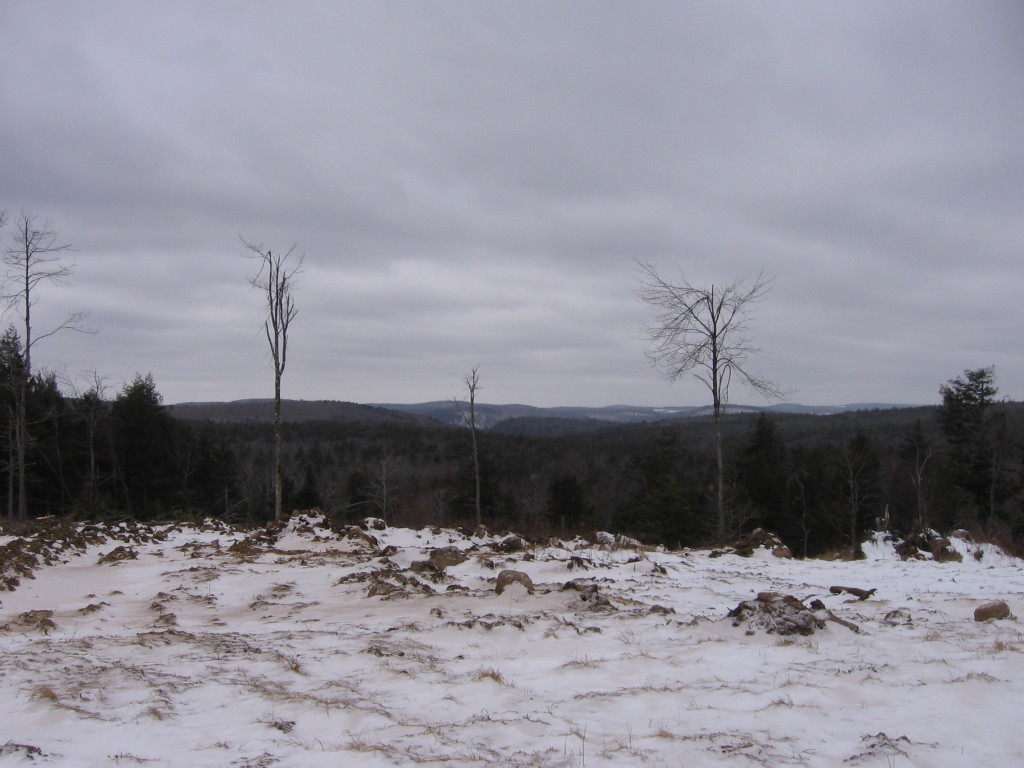 0 Clubhouse Road Tolland, MA 01034 - Photo 8 of 27 a view of a lake with a yard