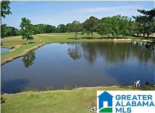 469 County Road 39 Clanton, AL 35046 - Photo 26 of 30