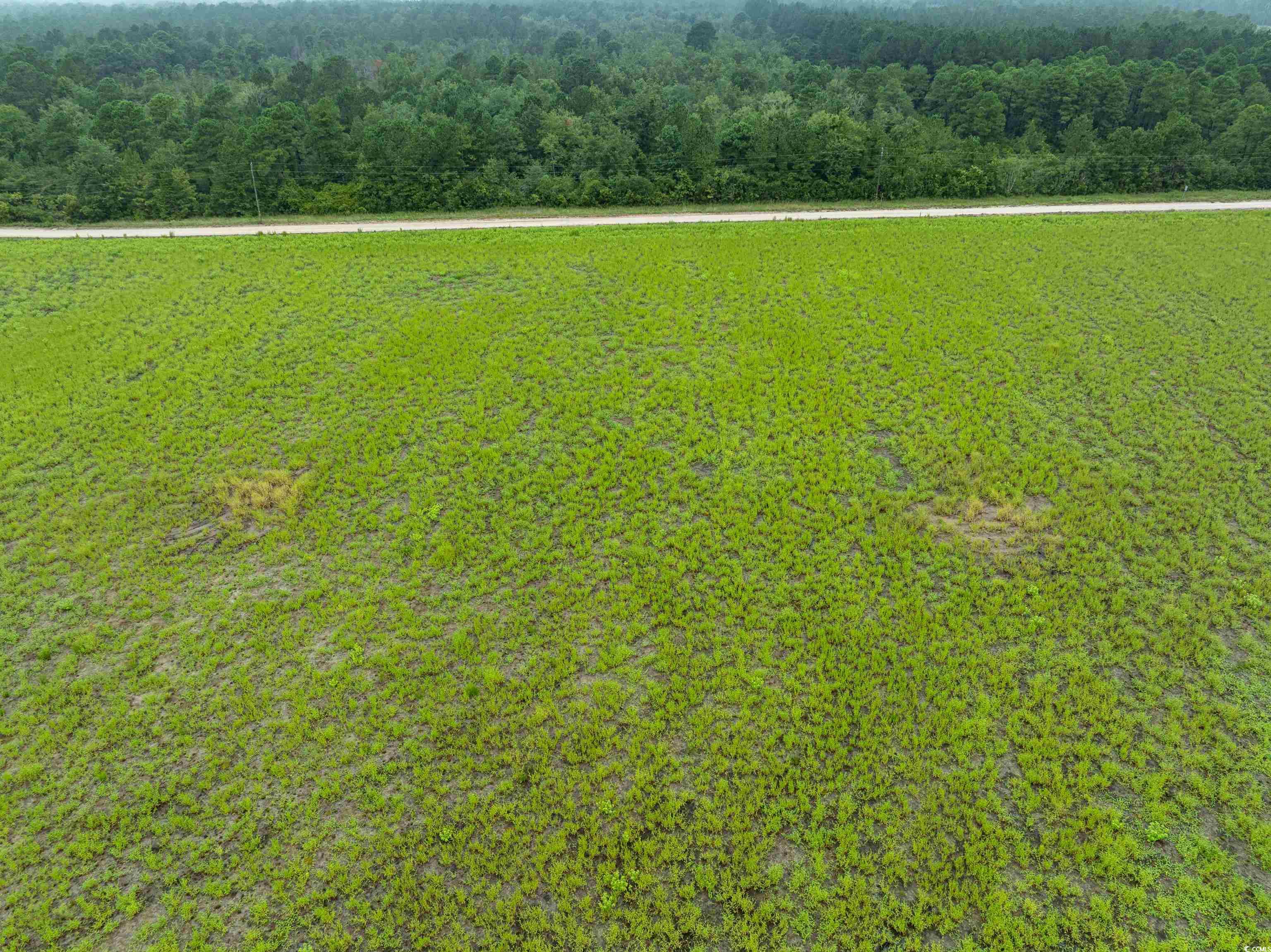 Tbd Lot 5 Tbd Road Loris, SC 29569 - Photo 3 of 4 Bird's eye view of a heavily wooded area
