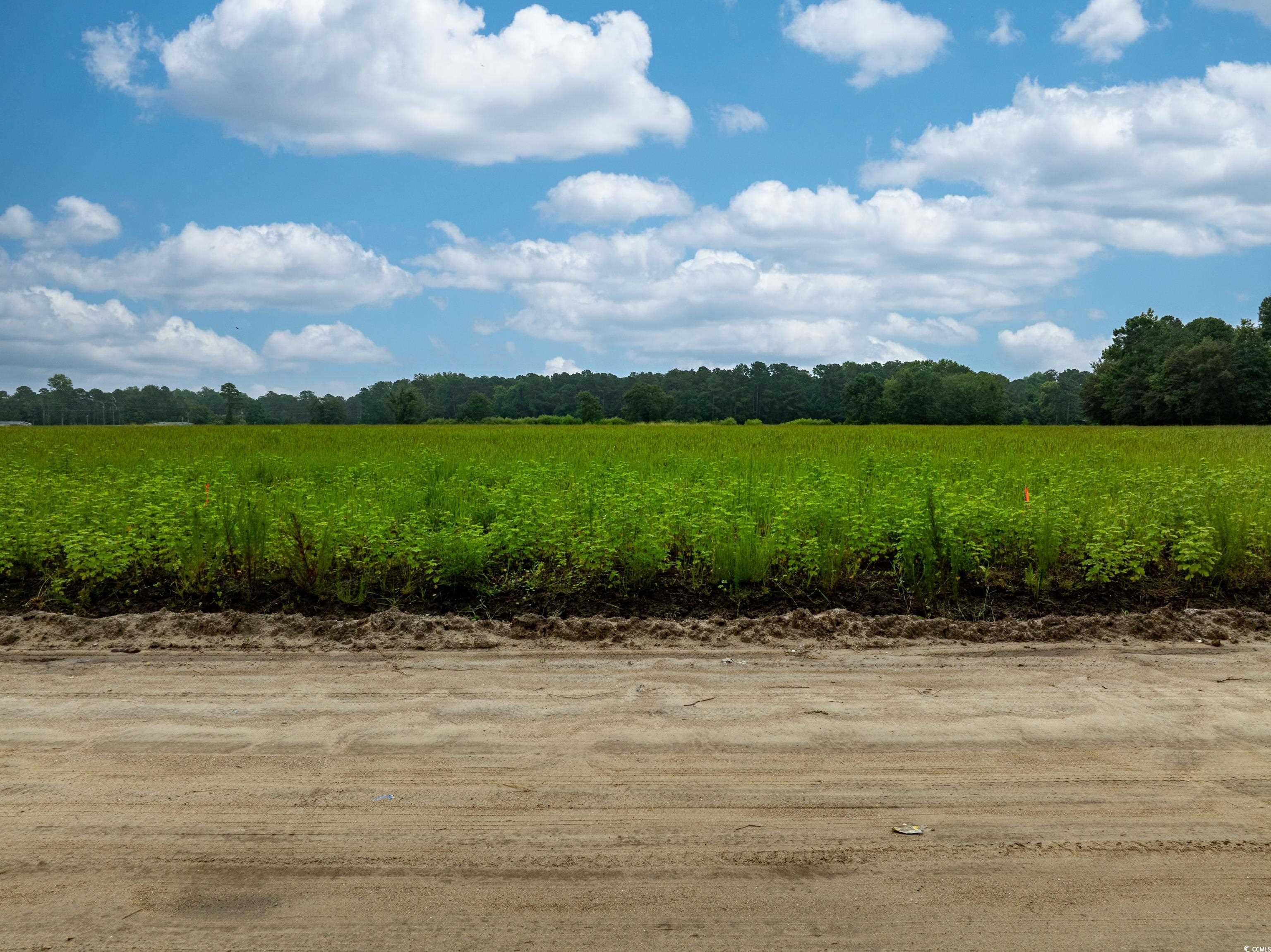 Tbd Lot 5 Tbd Road Loris, SC 29569 - Photo 4 of 4 View of undeveloped land featuring rural landscape