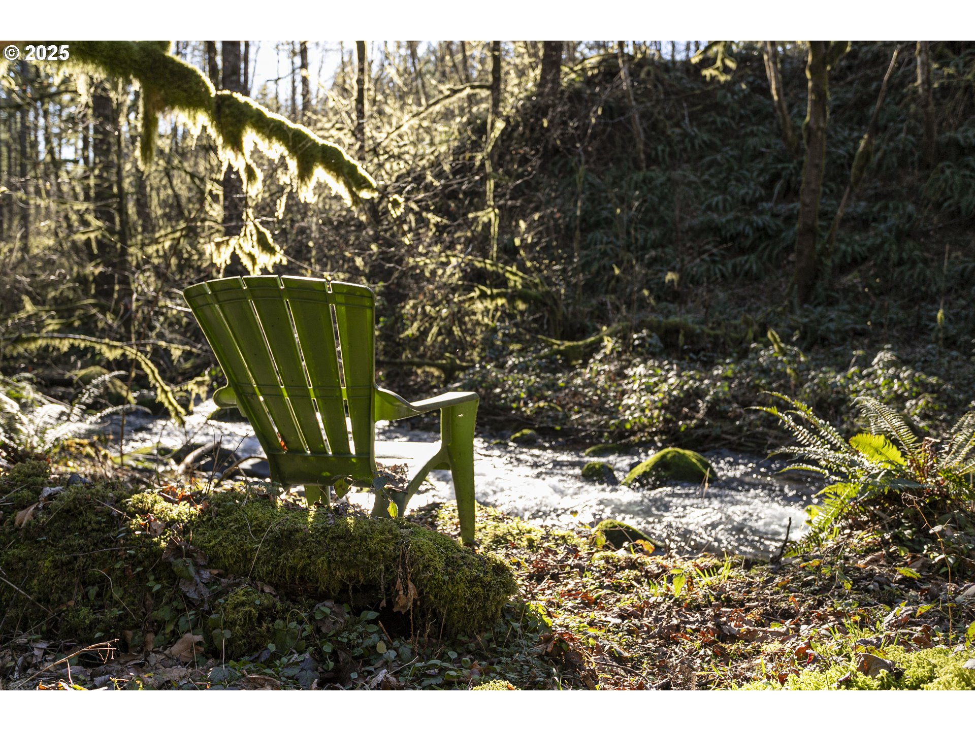 168 Yale-Landing Road Cougar, WA 98616 - Photo 38 of 46