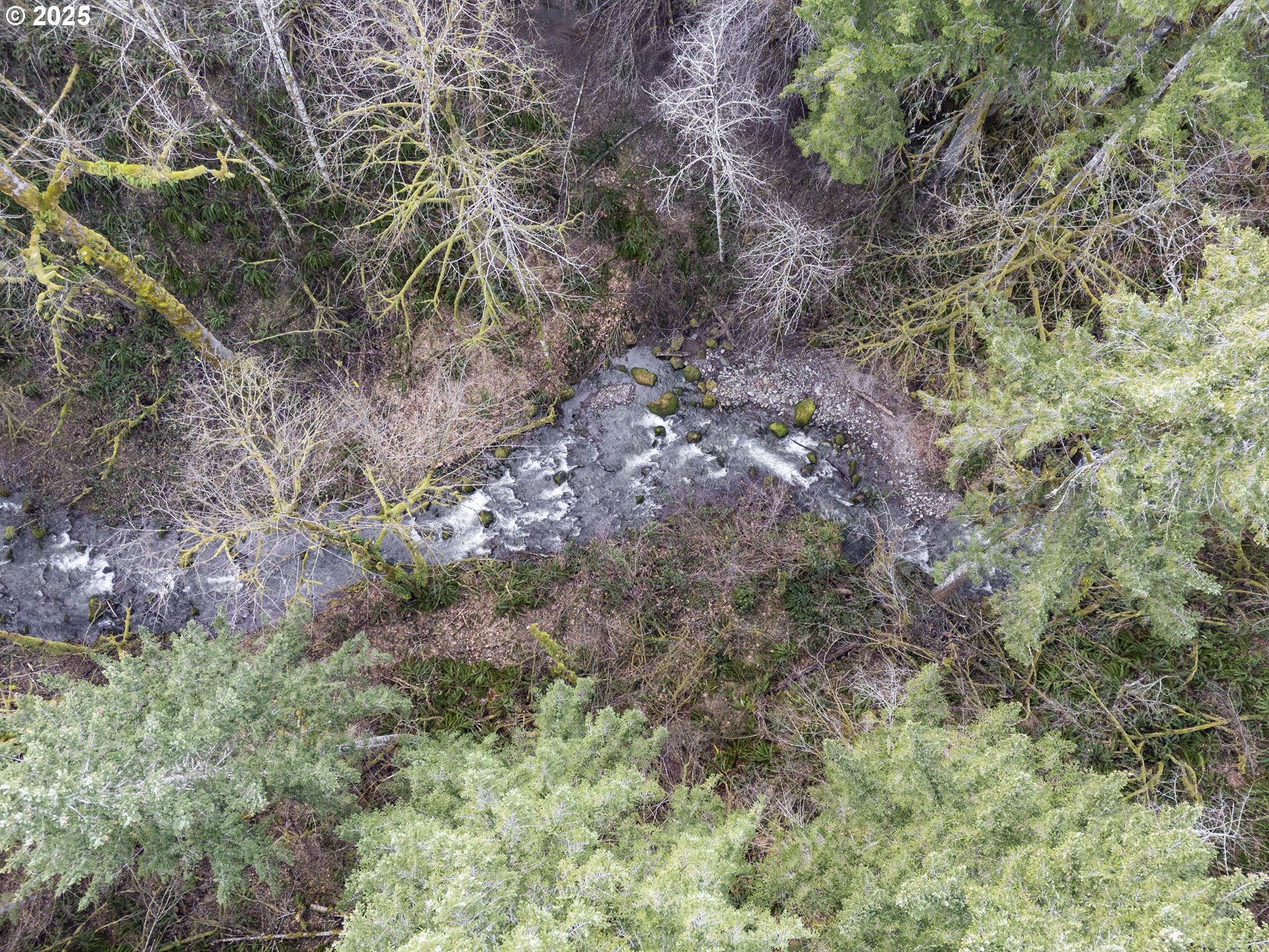 168 Yale-Landing Road Cougar, WA 98616 - Photo 39 of 46