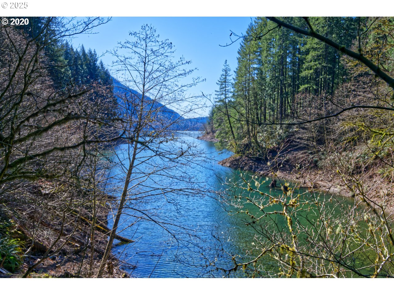 168 Yale-Landing Road Cougar, WA 98616 - Photo 45 of 46