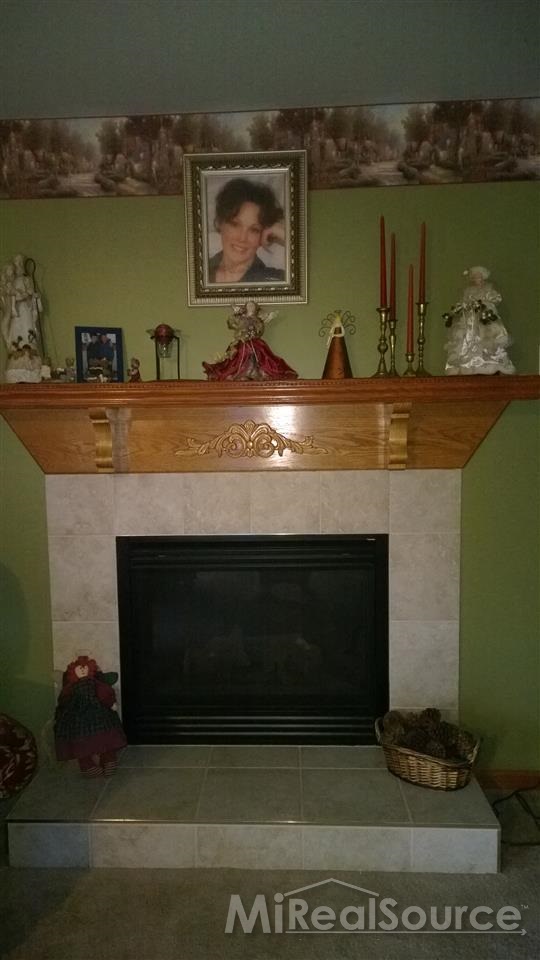 8458 Jorden Road Yale, MI 48097 - Photo 13 of 30 This is a view of the fireplace in the living room.