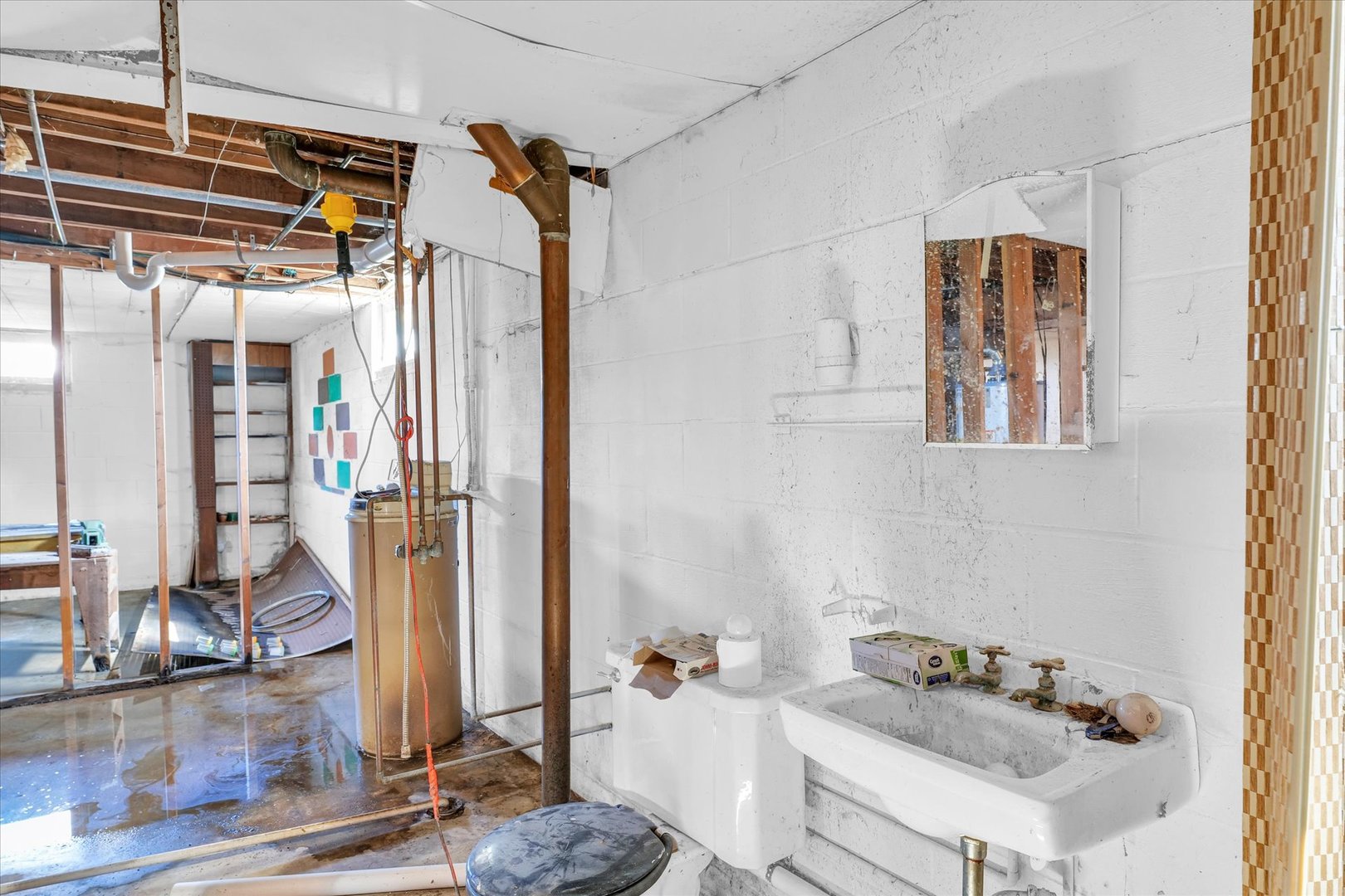1512 Locust Avenue Rantoul, IL 61866 - Photo 33 of 39 a bathroom with a sink and a mirror