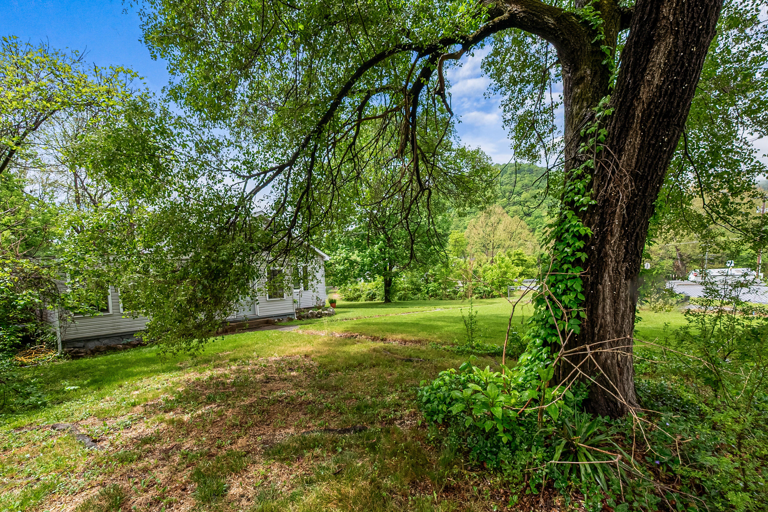 9151 Roanoke Road Elliston, VA 24087 - Photo 22 of 38 e4
