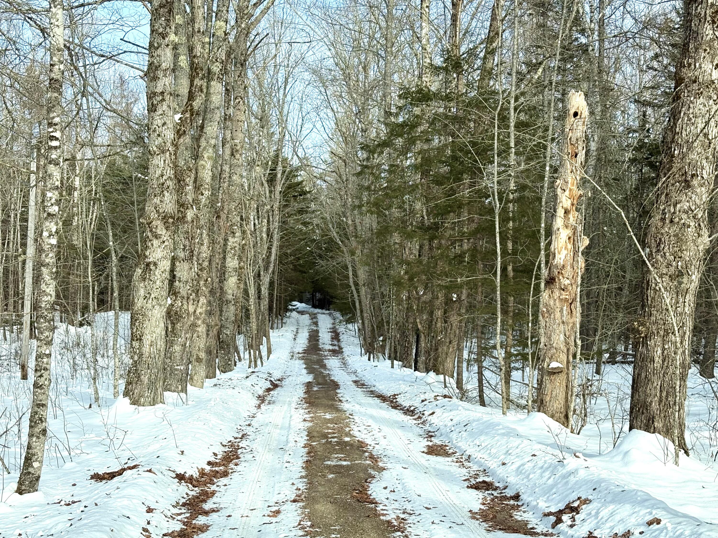 479 Highway 1 Robbinston, ME 04671 - Photo 16 of 54 IMG_1446