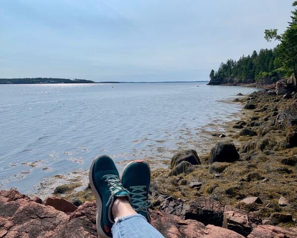 479 Highway 1 Robbinston, ME 04671 - Photo 7 of 54 20230819205631473456000000-o