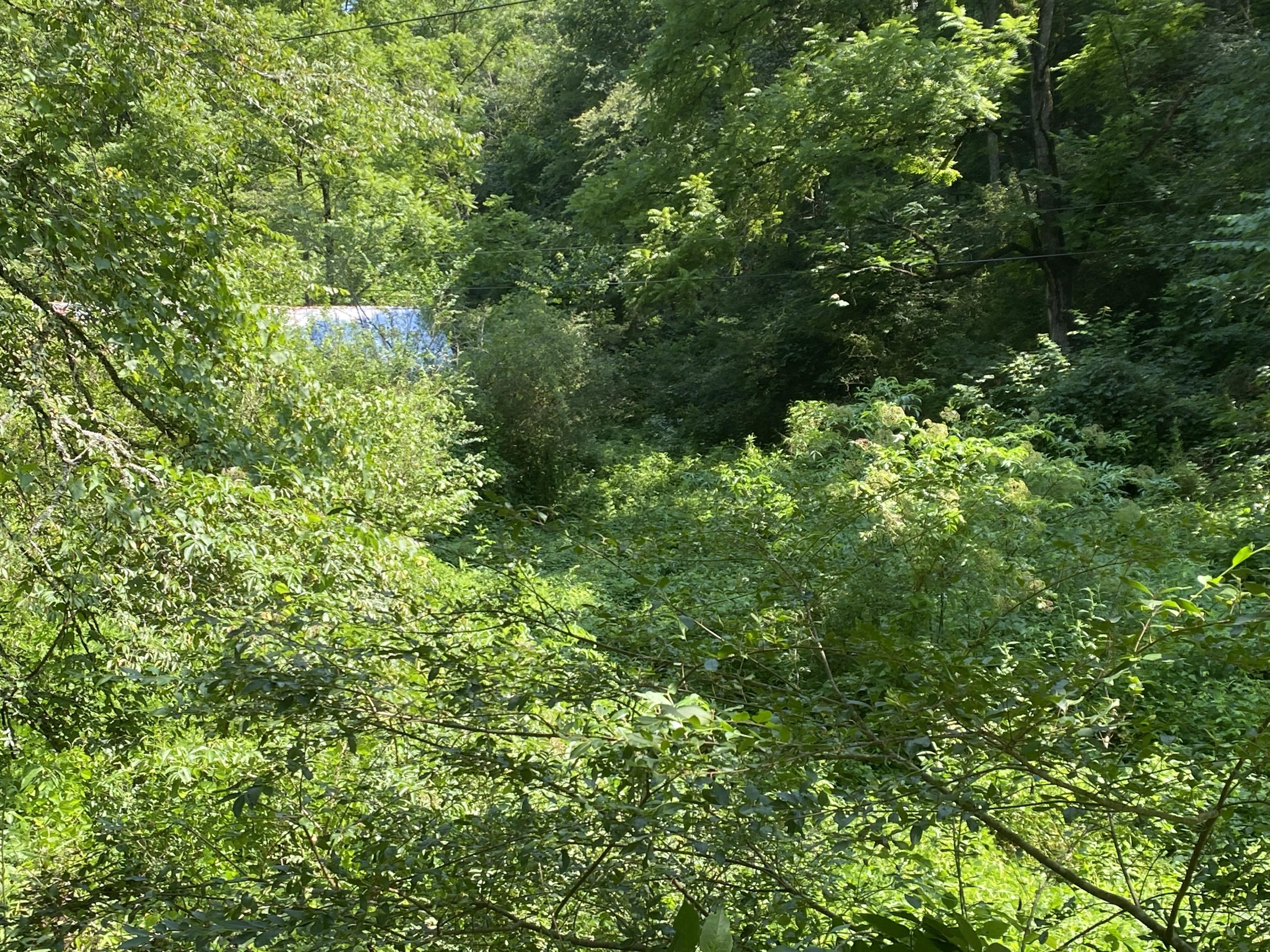 3145 Maples Branch Road Sevierville, TN 37876 - Photo 1 of 12 IMG_3025