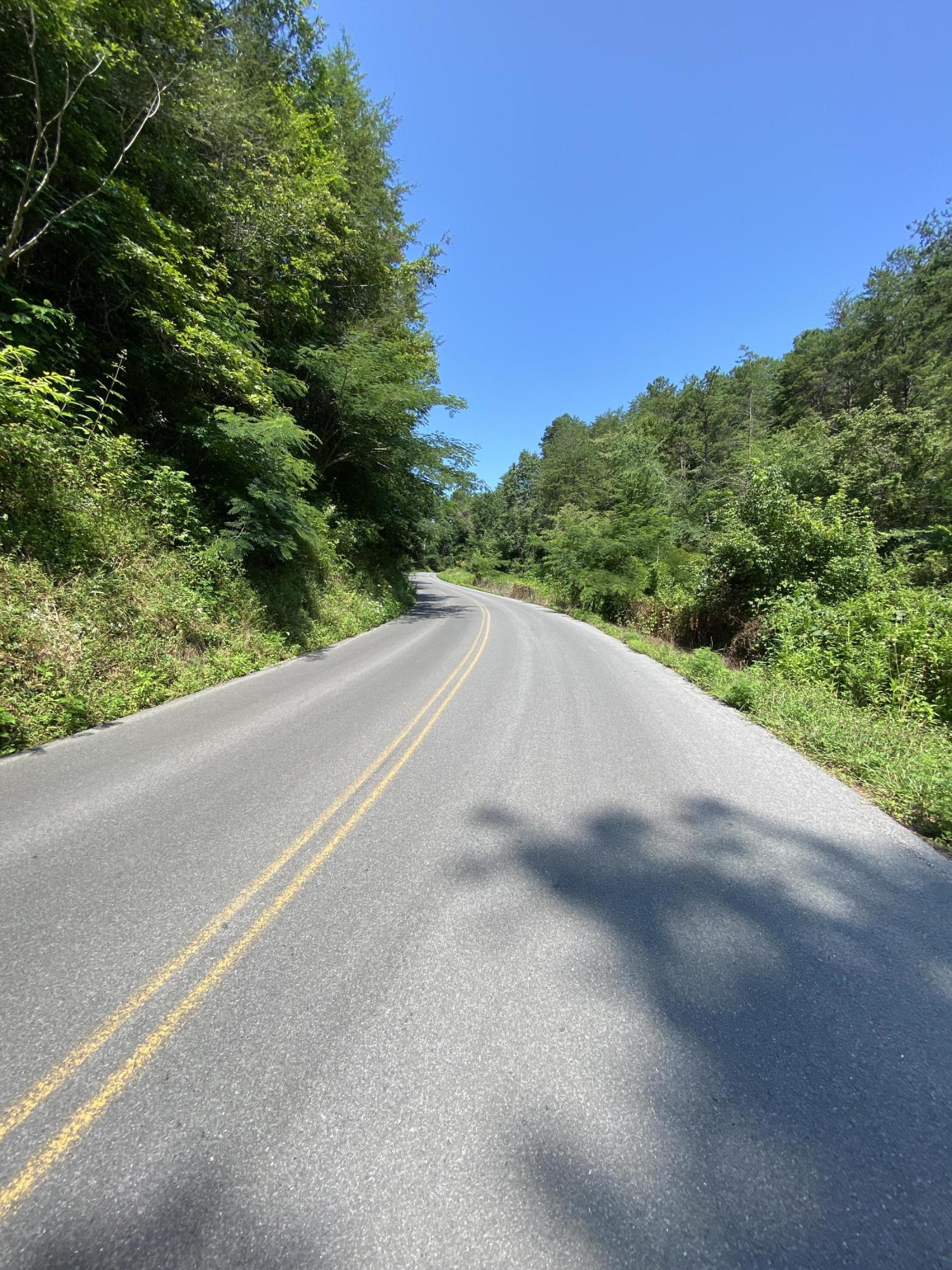 3145 Maples Branch Road Sevierville, TN 37876 - Photo 11 of 12 IMG_3029
