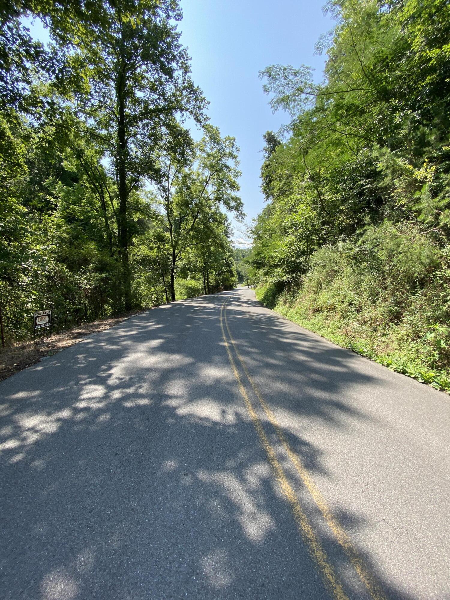 3145 Maples Branch Road Sevierville, TN 37876 - Photo 12 of 12 IMG_3030