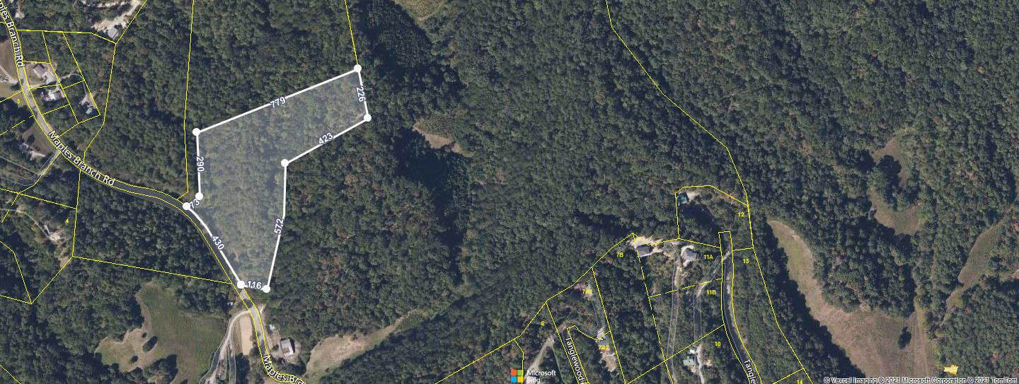 3145 Maples Branch Road Sevierville, TN 37876 - Photo 3 of 12 maple branch pic