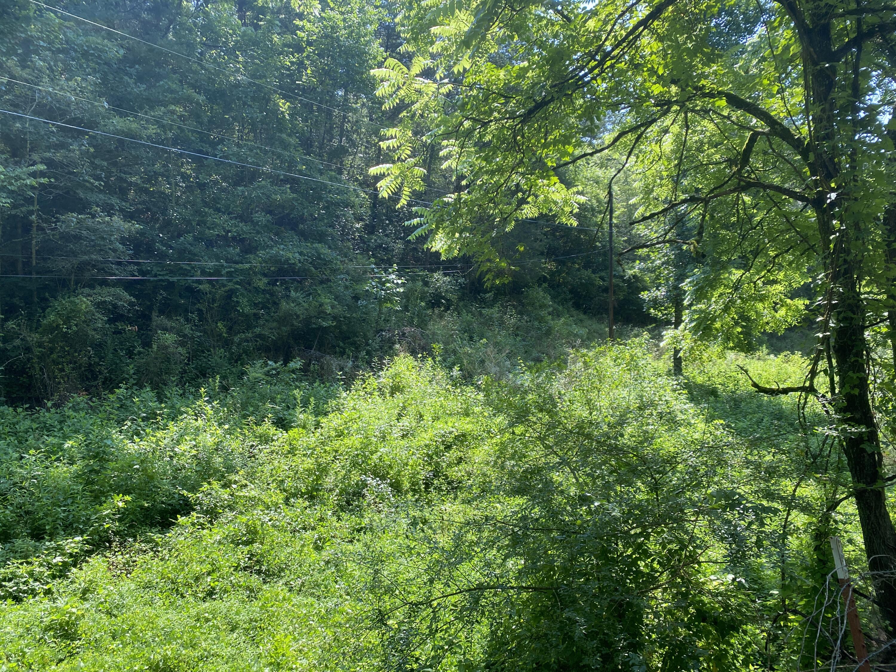 3145 Maples Branch Road Sevierville, TN 37876 - Photo 10 of 12 IMG_3026
