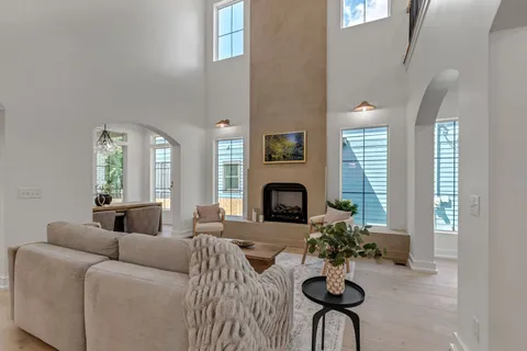 a living room with furniture potted plant and a fireplace
