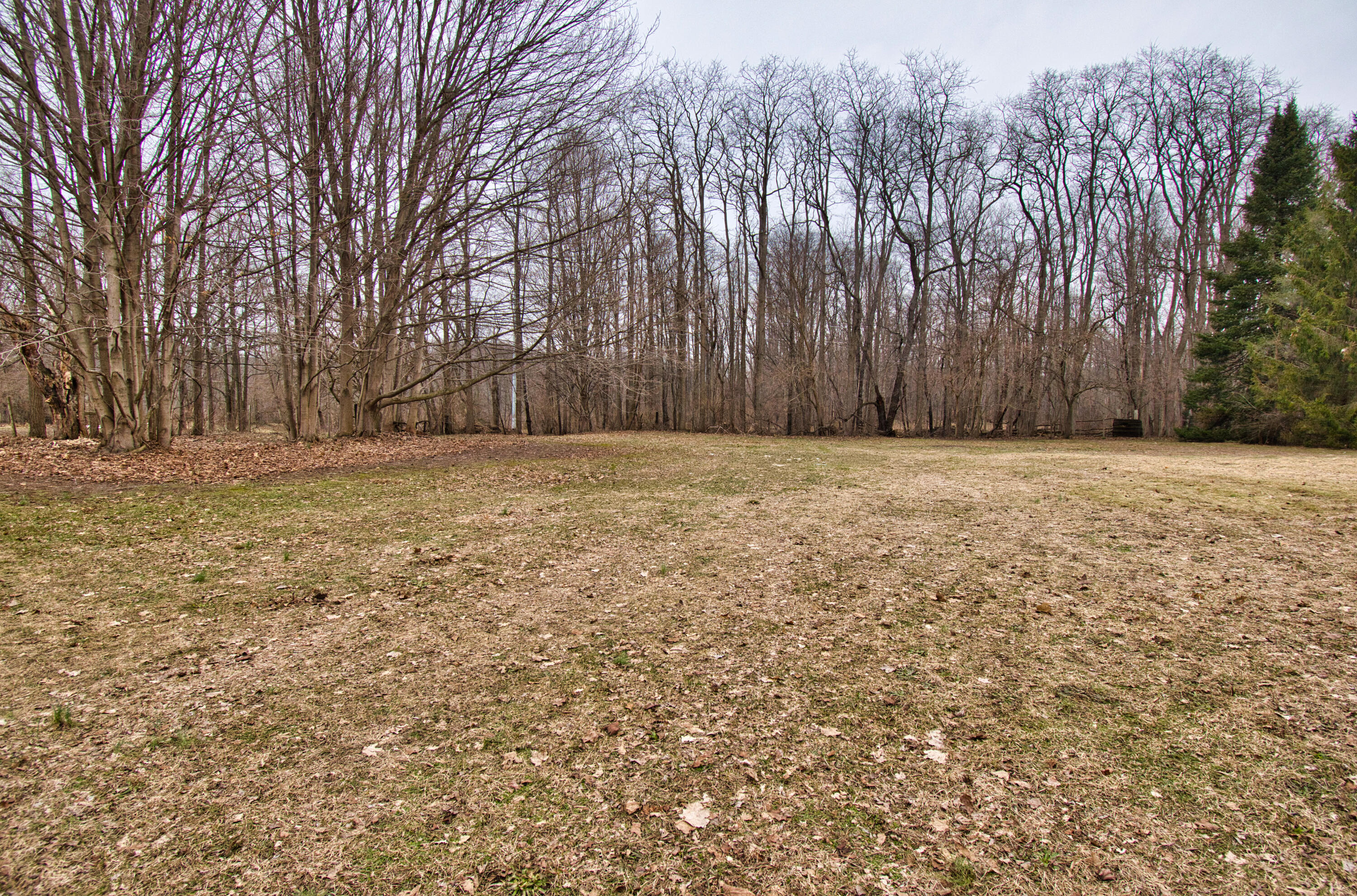 1718 Barron Lake Road Niles, MI 49120 - Photo 8 of 29 DSC_0680