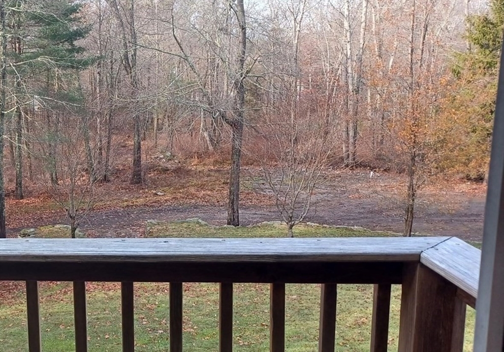 985 Glebe Street Taunton, MA 02780 - Photo 11 of 23 a view of a yard from a window