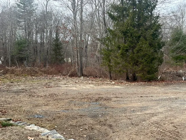 a view of a yard with trees
