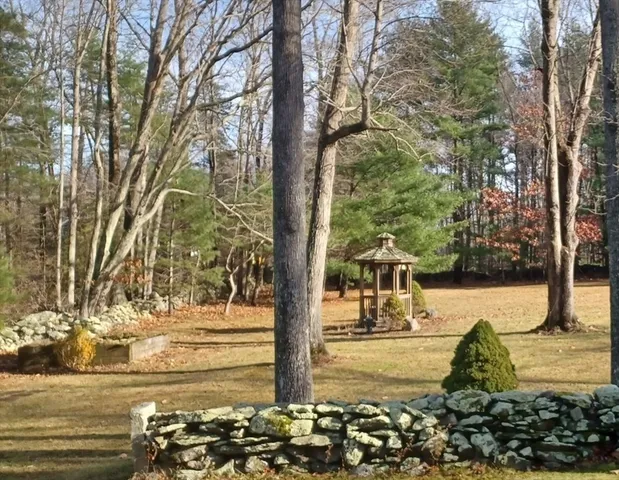 a view of a yard with an trees