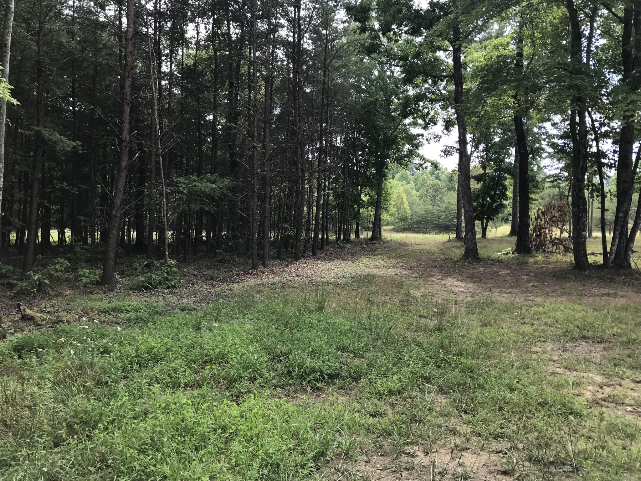 0 Quail Trail Dunlap, TN 37327 - Photo 27 of 36