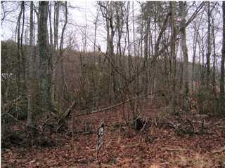 39 Honeysuckle Road Pikeville, TN 37367 - Photo 1 of 2 Primary Photo