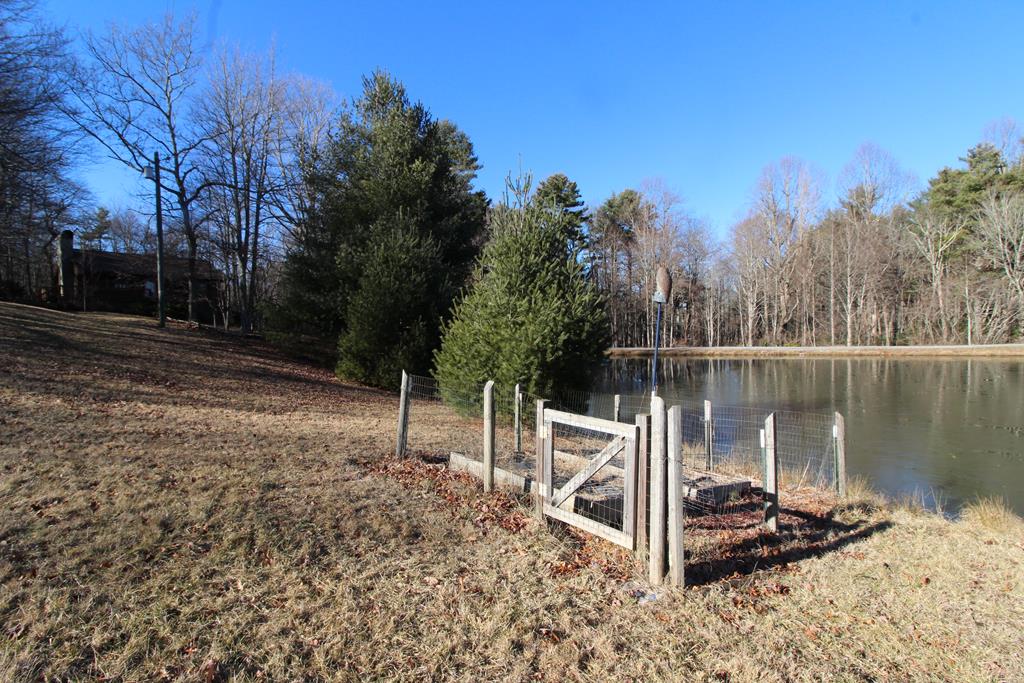 125 Round Hill Road Fancy Gap, VA 24328 - Photo 72 of 74 Gallery Image 72