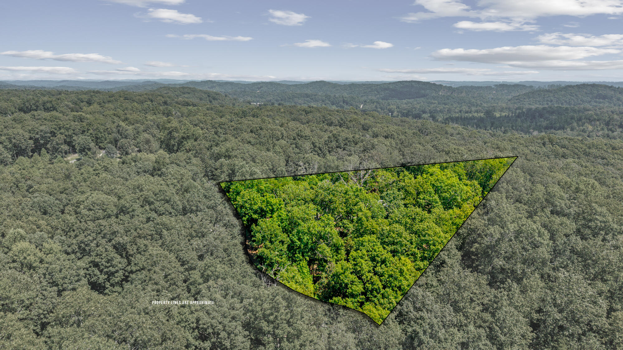 63 County Road 100, Unit 2 Decatur, TN 37322 - Photo 13 of 47 12-2