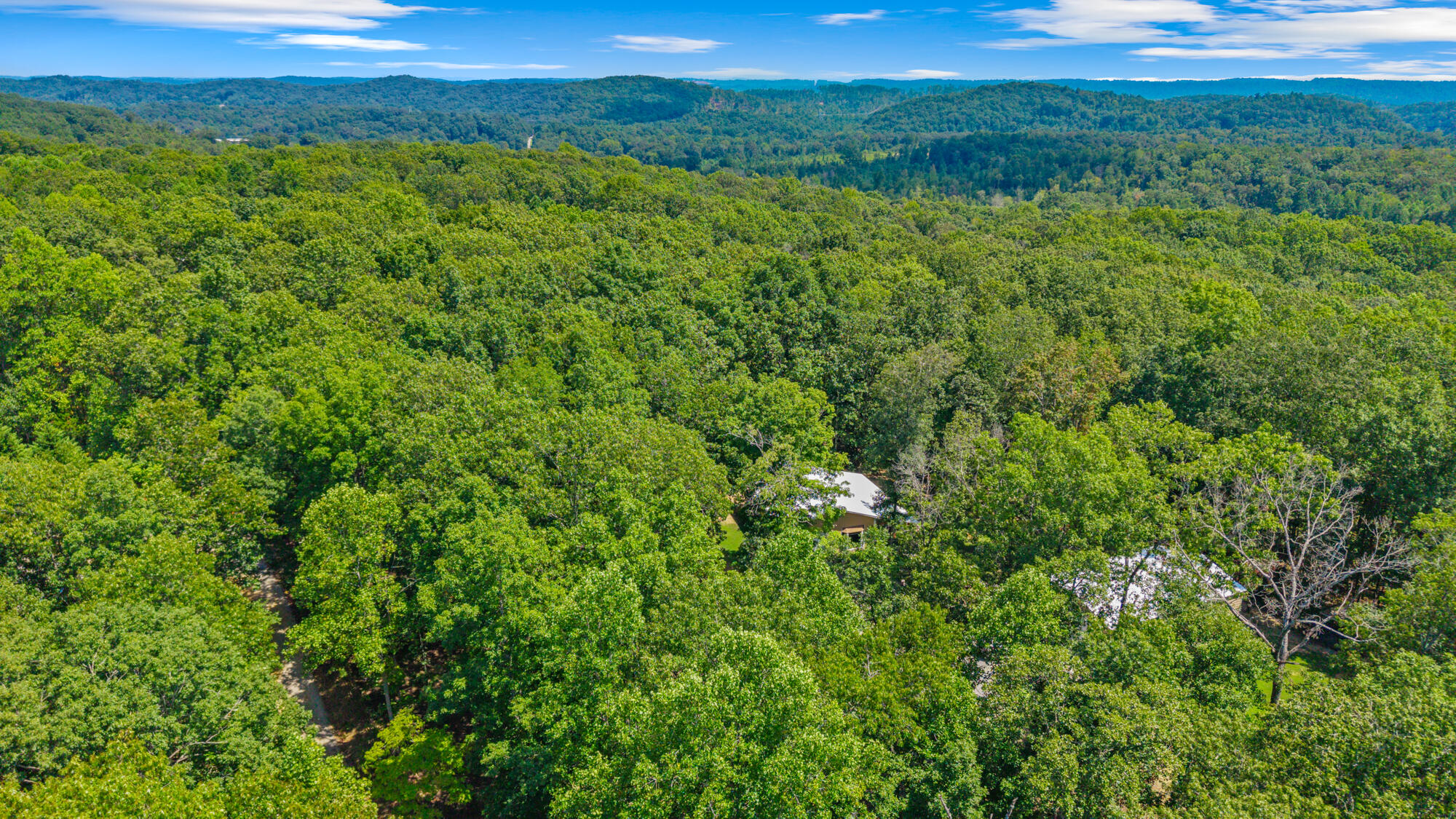63 County Road 100, Unit 2 Decatur, TN 37322 - Photo 40 of 47 37