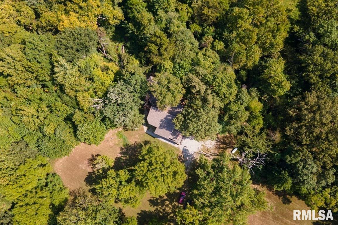 412 Wagon Wheel Road Carbondale, IL 62902 - Photo 26 of 30 a plant that is in a garden