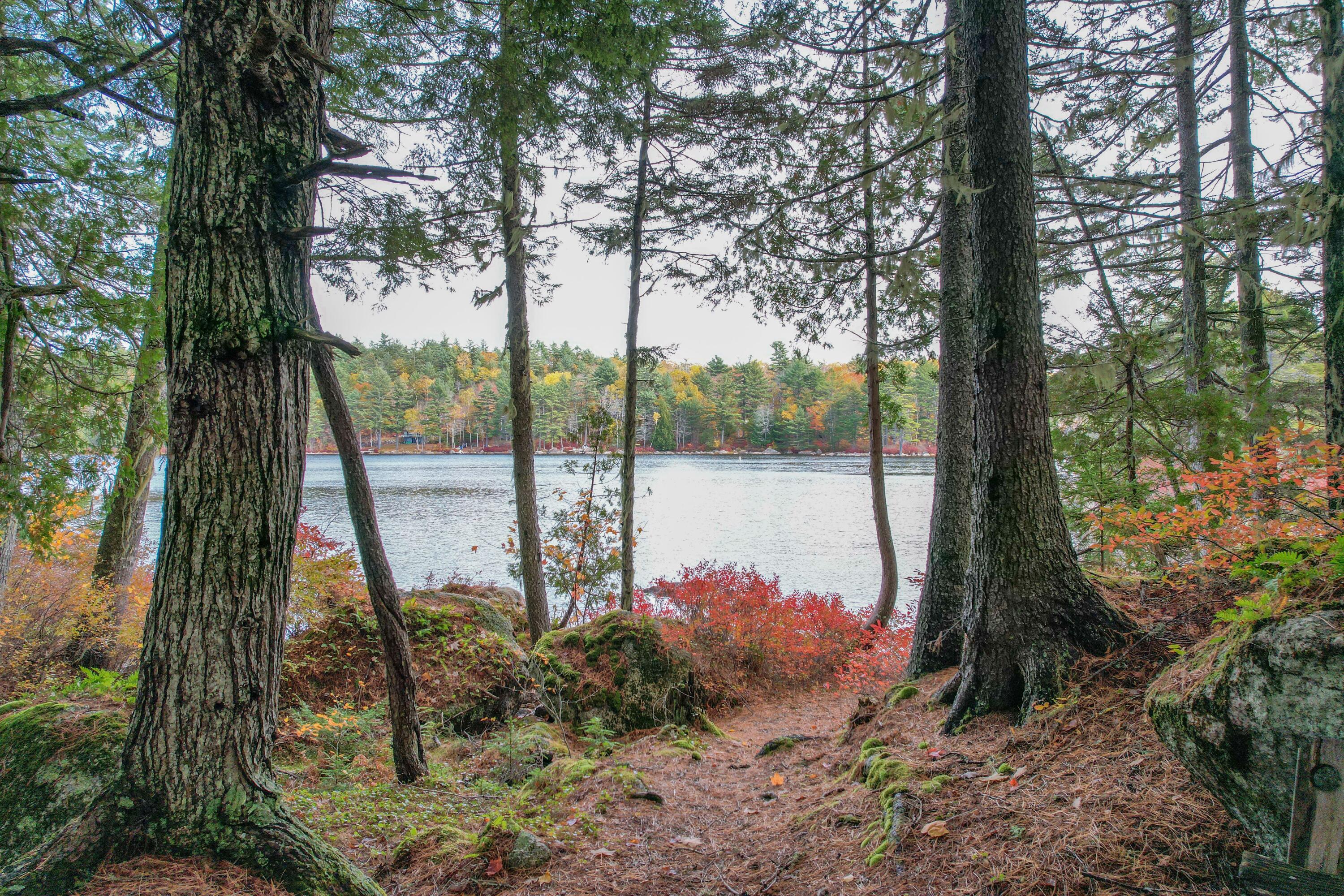 Towards the shoreline