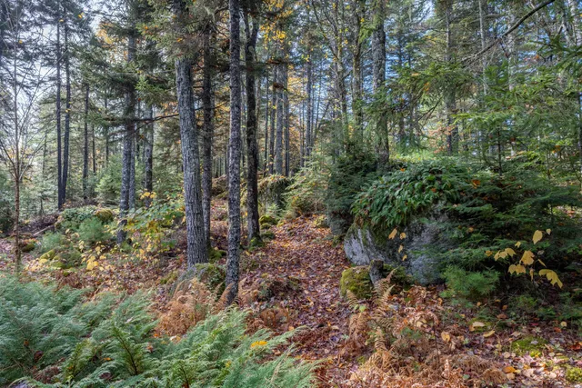 $767,000 | 155 Long Point Way, Orland, ME 04472