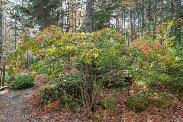 $767,000 | 155 Long Point Way, Orland, ME 04472