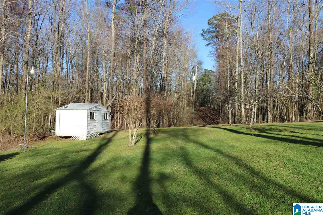 595 Fincher Road Pell City, AL 35128 - Photo 32 of 47