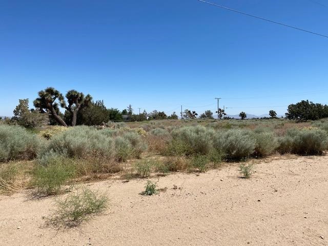 7380 Smoke Tree Road Phelan, CA 92371 - Photo 1 of 1 a view of a road with a snow in the background
