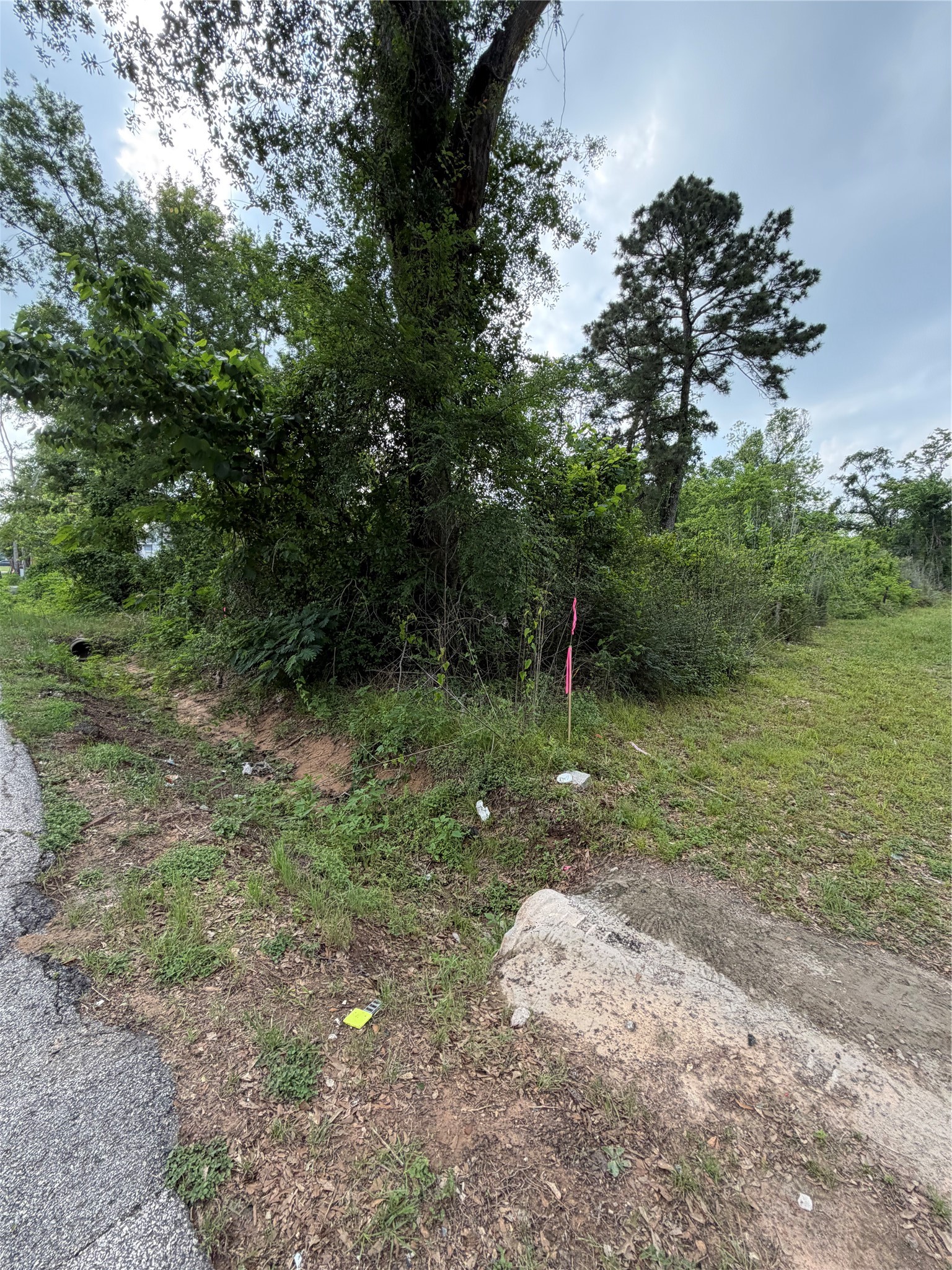 Tbd Tbd I Avenue Conroe, TX 77301 - Photo 8 of 9