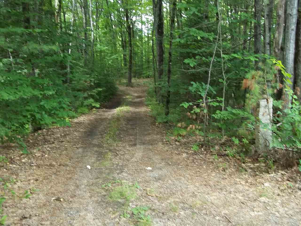 Nesmith Road Madison, NH 03849 - Photo 3 of 23