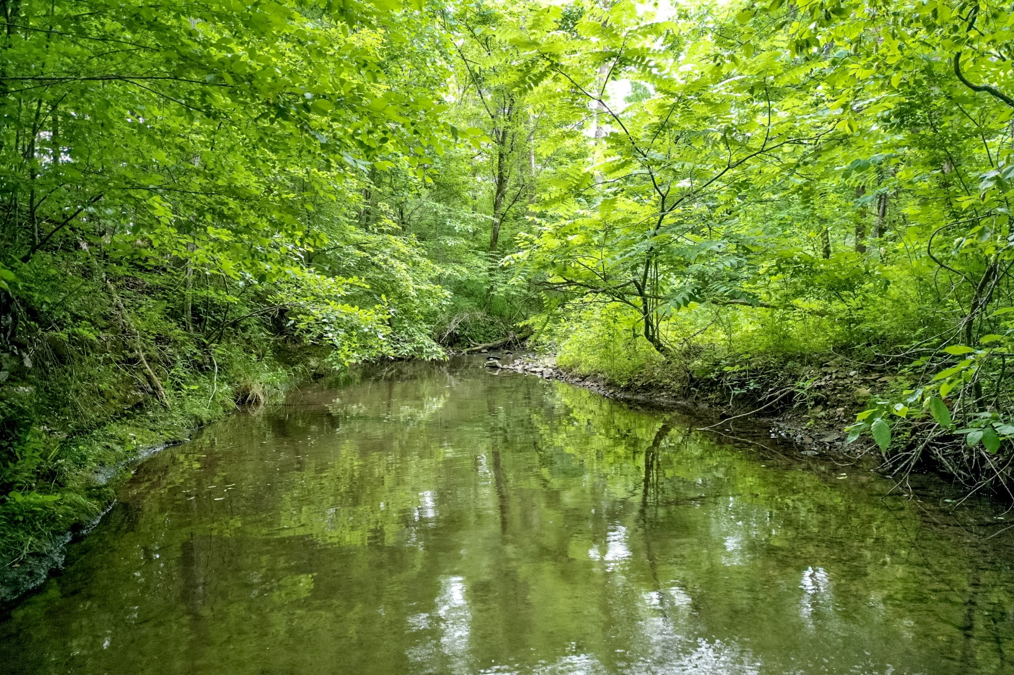 0 Liberty Road Fairview, TN 37062 - Photo 11 of 20 a view of a lake