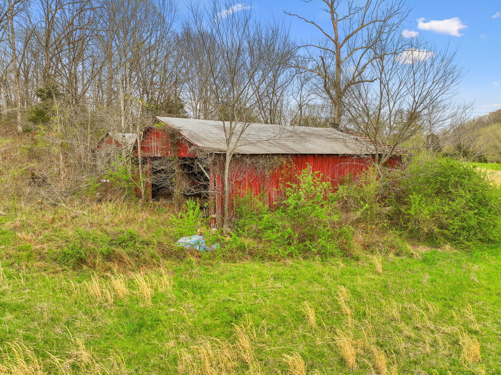 0 Liberty Road Fairview, TN 37062 - Photo 17 of 20 a backyard of a house with table and chairs