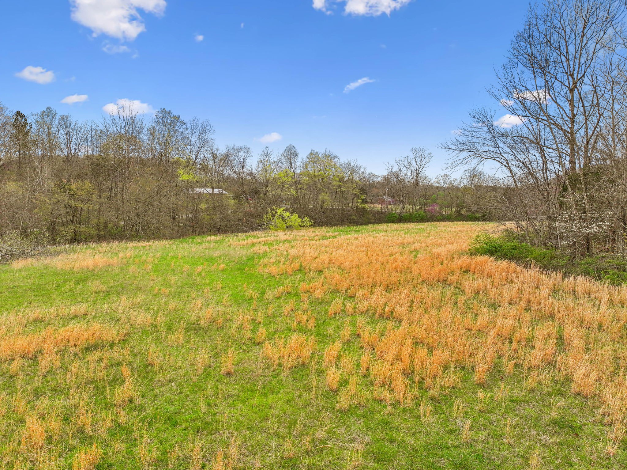 0 Liberty Road Fairview, TN 37062 - Photo 18 of 20 a view of lake with sunset