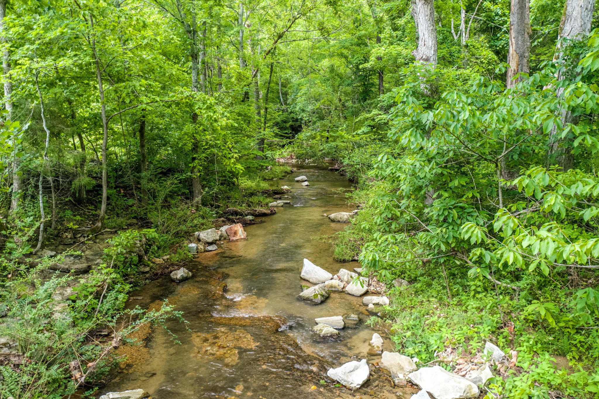 0 Liberty Road Fairview, TN 37062 - Photo 4 of 20 a backyard of a house with lots of green space and a fountain