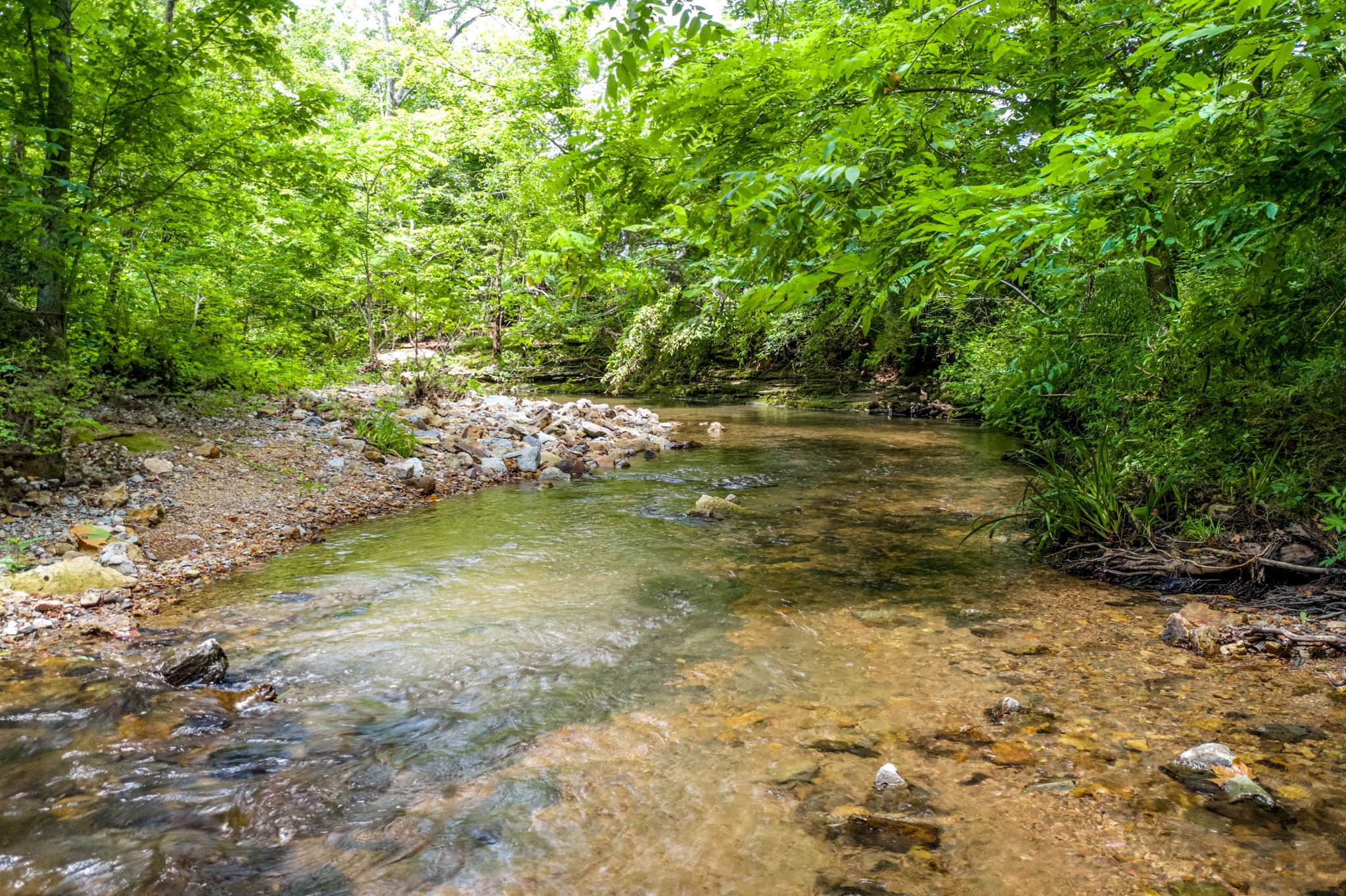 0 Liberty Road Fairview, TN 37062 - Photo 6 of 20