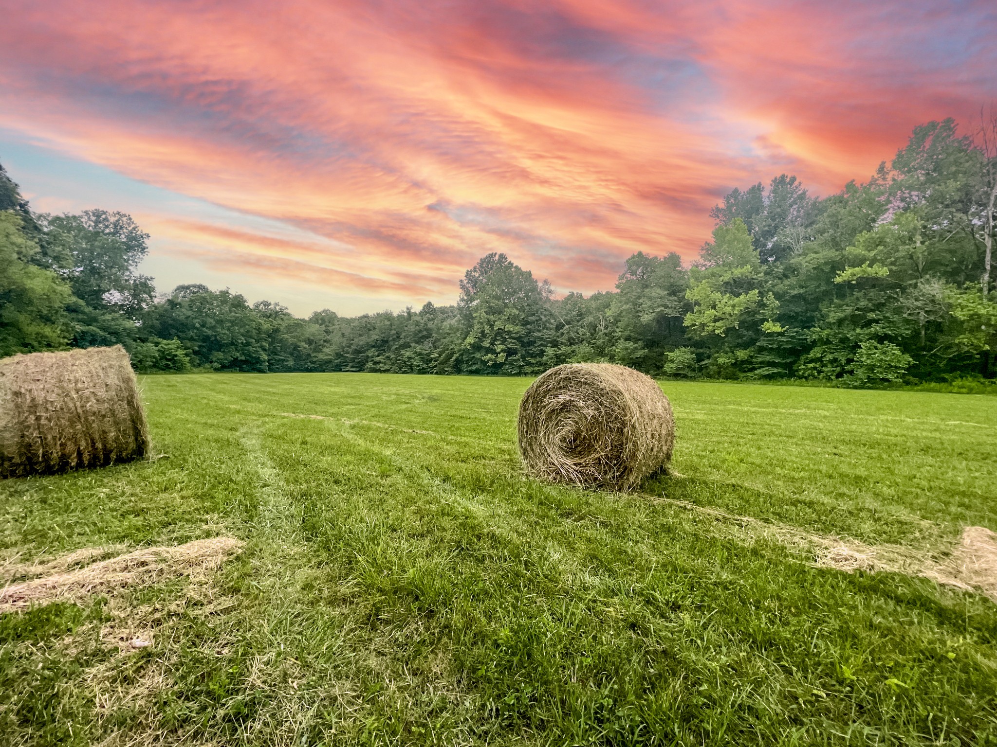 0 Liberty Road Fairview, TN 37062 - Photo 8 of 20 a view of a golf course with a garden