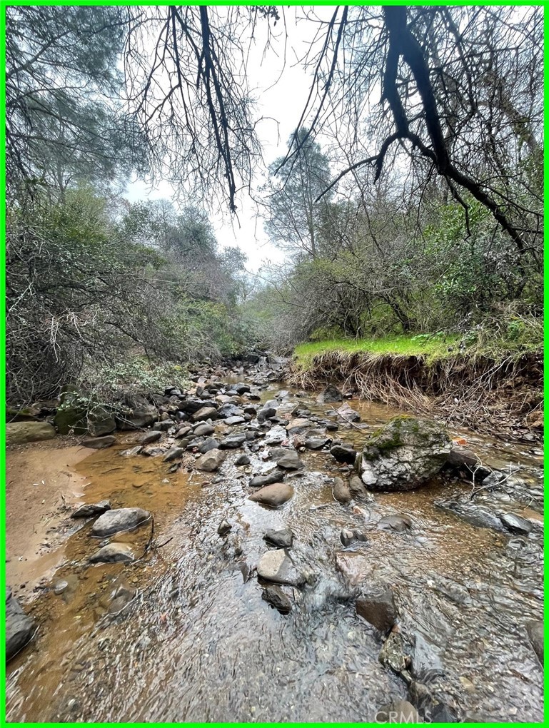 a view of a dry yard with trees and stairs